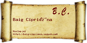 Baig Cipriána névjegykártya